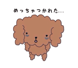 Poodle of various expressions sticker #1630665