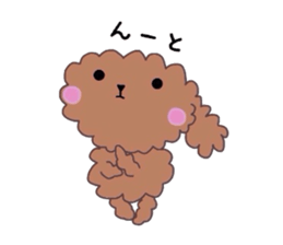 Poodle of various expressions sticker #1630671