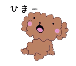 Poodle of various expressions sticker #1630672