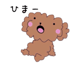 Poodle of various expressions sticker #1630672
