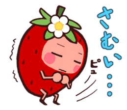 The strawberry of winter. sticker #1633339