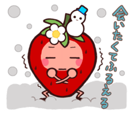 The strawberry of winter. sticker #1633347