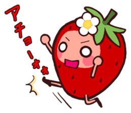 The strawberry of winter. sticker #1633359