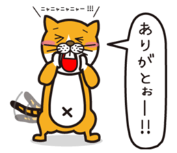 Dream the nyanda sticker #1636961