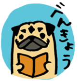 pug pug pug sticker #1639269