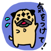 pug pug pug sticker #1639274