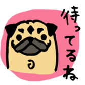 pug pug pug sticker #1639279
