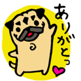 pug pug pug sticker #1639289