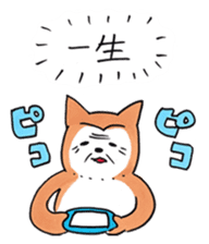Shiba Inu says the real intention sticker #1639750