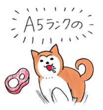 Shiba Inu says the real intention sticker #1639760