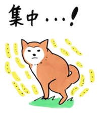 Shiba Inu says the real intention sticker #1639775
