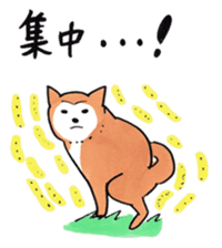 Shiba Inu says the real intention sticker #1639775