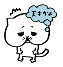 Sticker of cat shy sticker #1640222