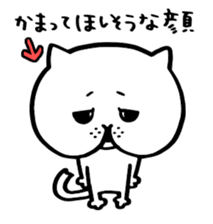 Sticker of cat shy sticker #1640240