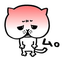Sticker of cat shy sticker #1640251