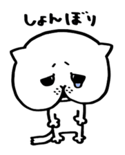 Sticker of cat shy sticker #1640253