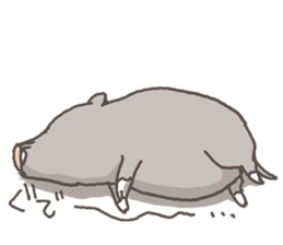 Mr.Butaro saying sticker #1642052