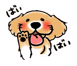 Golden retriever Eru! sticker #1642077