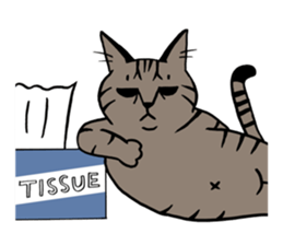 KIJITORA GINJI sticker #1642124