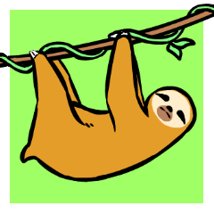 Idle fellow Bradypodidae