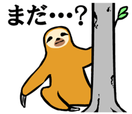 Idle fellow Bradypodidae sticker #1643606