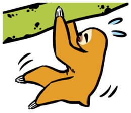 Idle fellow Bradypodidae sticker #1643607