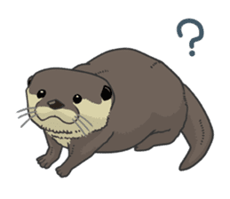 Asian short-clawed otter sticker #1643657