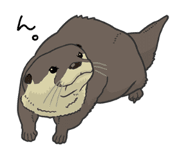 Asian short-clawed otter sticker #1643659