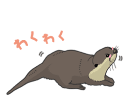 Asian short-clawed otter sticker #1643660