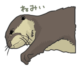 Asian short-clawed otter sticker #1643661