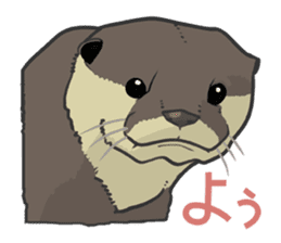 Asian short-clawed otter sticker #1643663