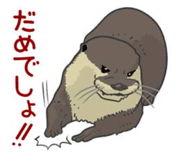 Asian short-clawed otter sticker #1643666