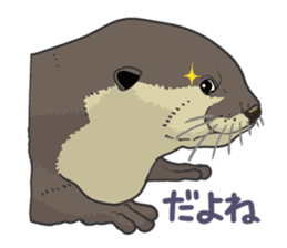 Asian short-clawed otter sticker #1643668