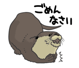 Asian short-clawed otter sticker #1643669