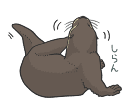 Asian short-clawed otter sticker #1643670