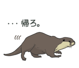 Asian short-clawed otter sticker #1643671