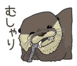 Asian short-clawed otter sticker #1643672
