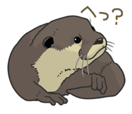 Asian short-clawed otter sticker #1643673