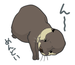 Asian short-clawed otter sticker #1643674