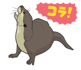 Asian short-clawed otter sticker #1643676