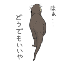 Asian short-clawed otter sticker #1643679