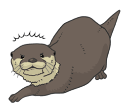 Asian short-clawed otter sticker #1643681