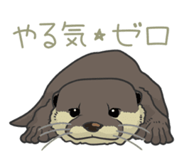 Asian short-clawed otter sticker #1643682