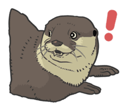 Asian short-clawed otter sticker #1643689