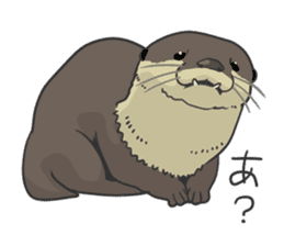 Asian short-clawed otter sticker #1643692
