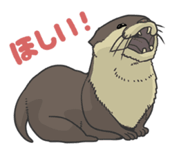 Asian short-clawed otter sticker #1643693