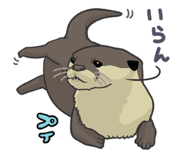 Asian short-clawed otter sticker #1643694