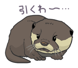 Asian short-clawed otter sticker #1643695