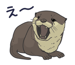 Asian short-clawed otter sticker #1643696