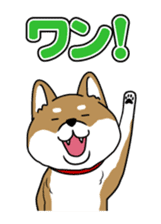 I see-shell sticker #1647281